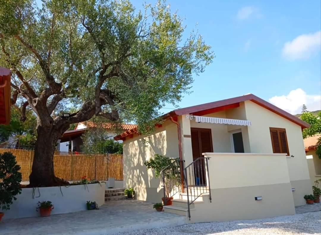 Case Vacanze La Quercia Marina di Camerota Zewnętrze zdjęcie