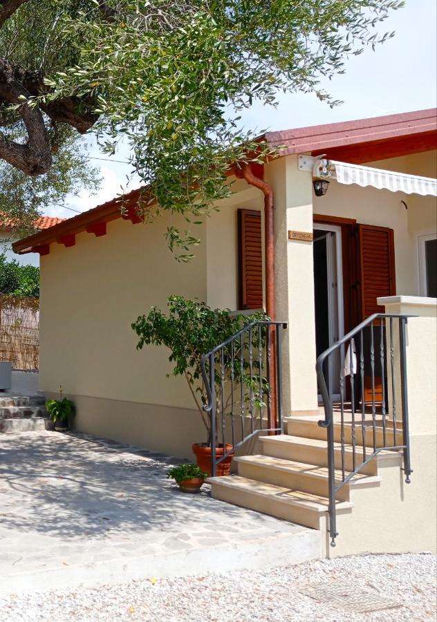 Case Vacanze La Quercia Marina di Camerota Zewnętrze zdjęcie