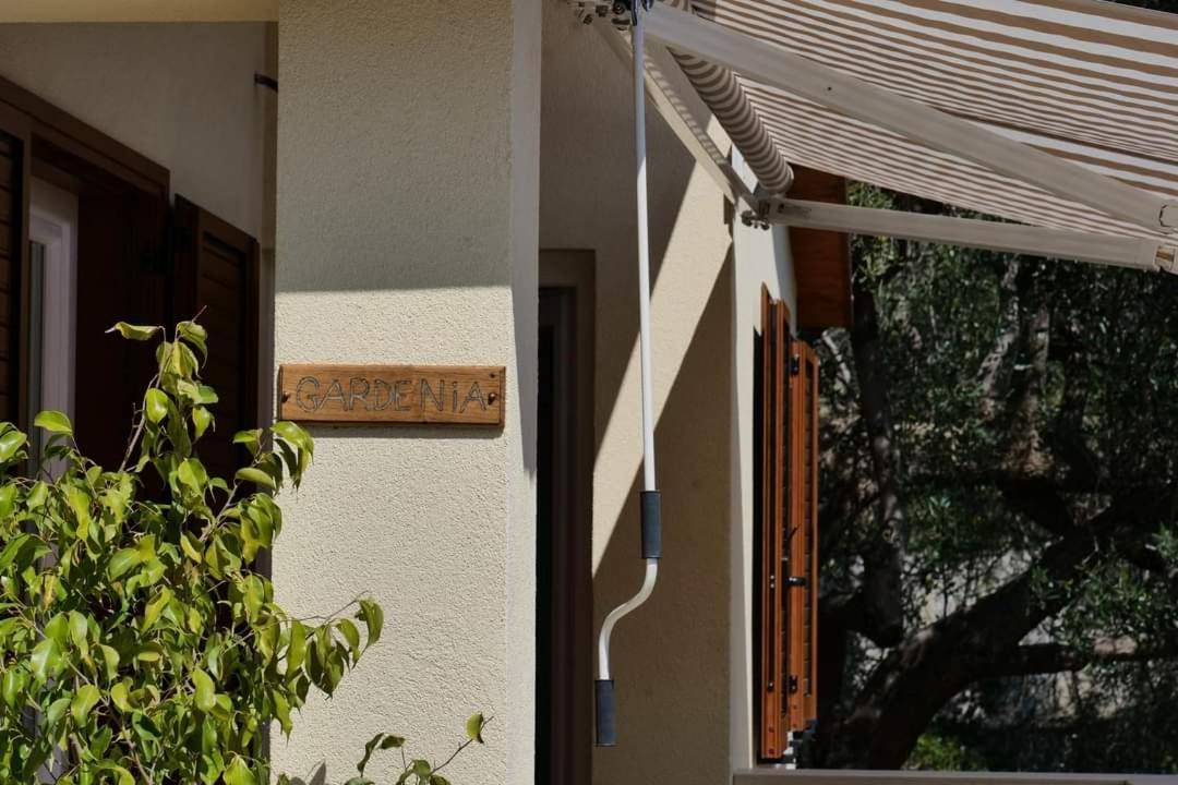 Case Vacanze La Quercia Marina di Camerota Zewnętrze zdjęcie