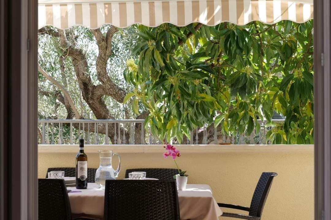 Case Vacanze La Quercia Marina di Camerota Zewnętrze zdjęcie